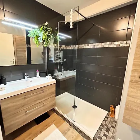 Apartament Les Terrasses Du Zenith - Parking - Tramway - Wifi *